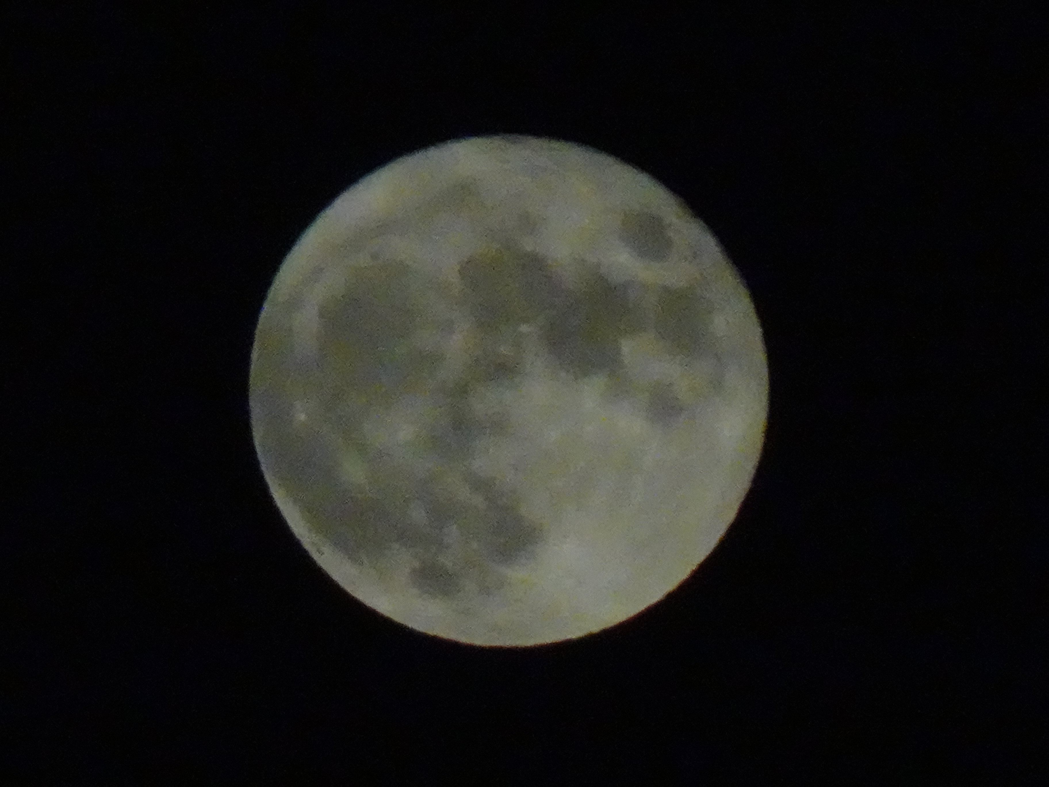 Fullmoonとは 人気・最新記事を集めました - はてな Fullmoonとは 人気・最新記事を集めました - はてな