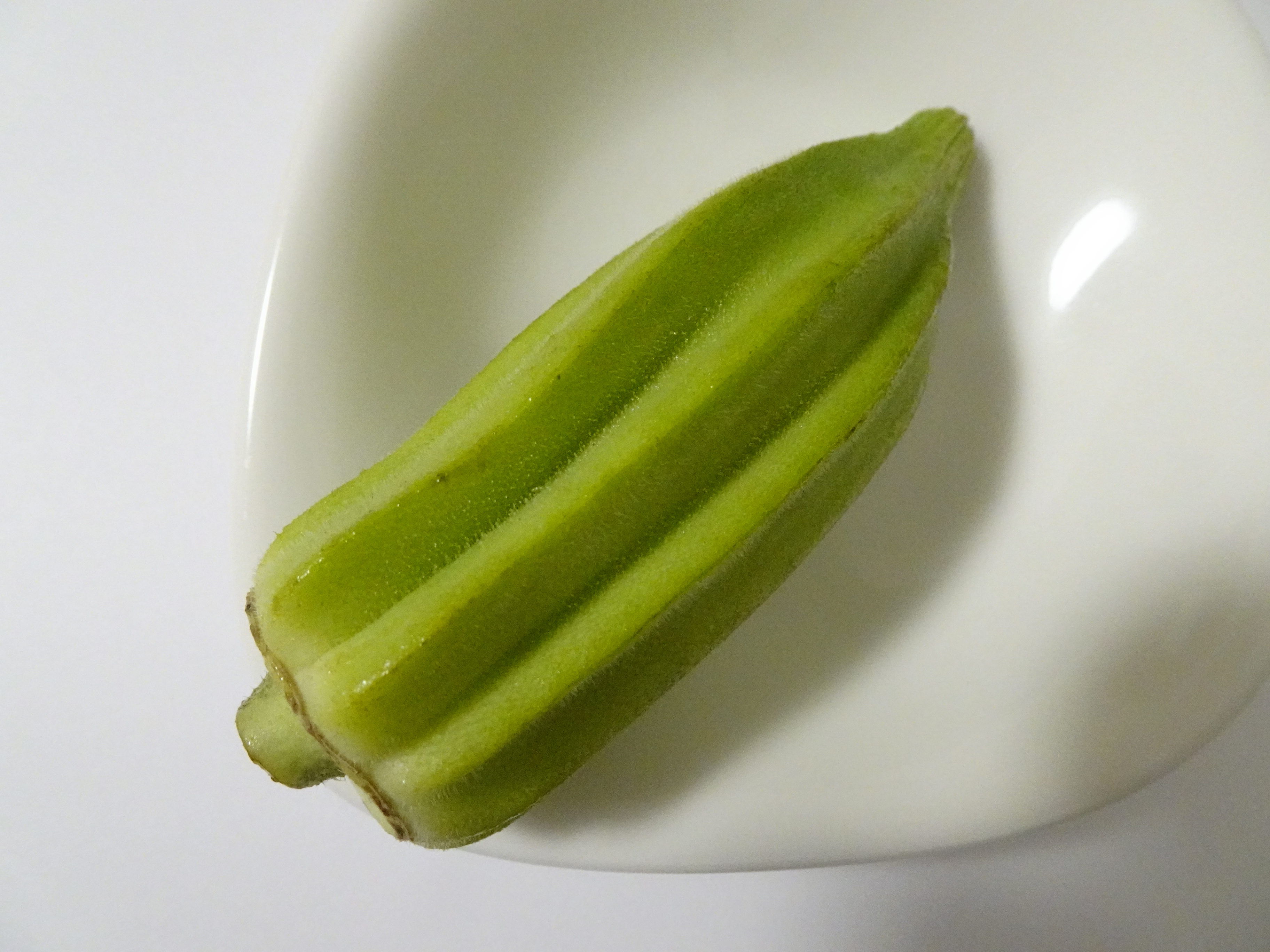 オクラキングの表面は毛羽立っている