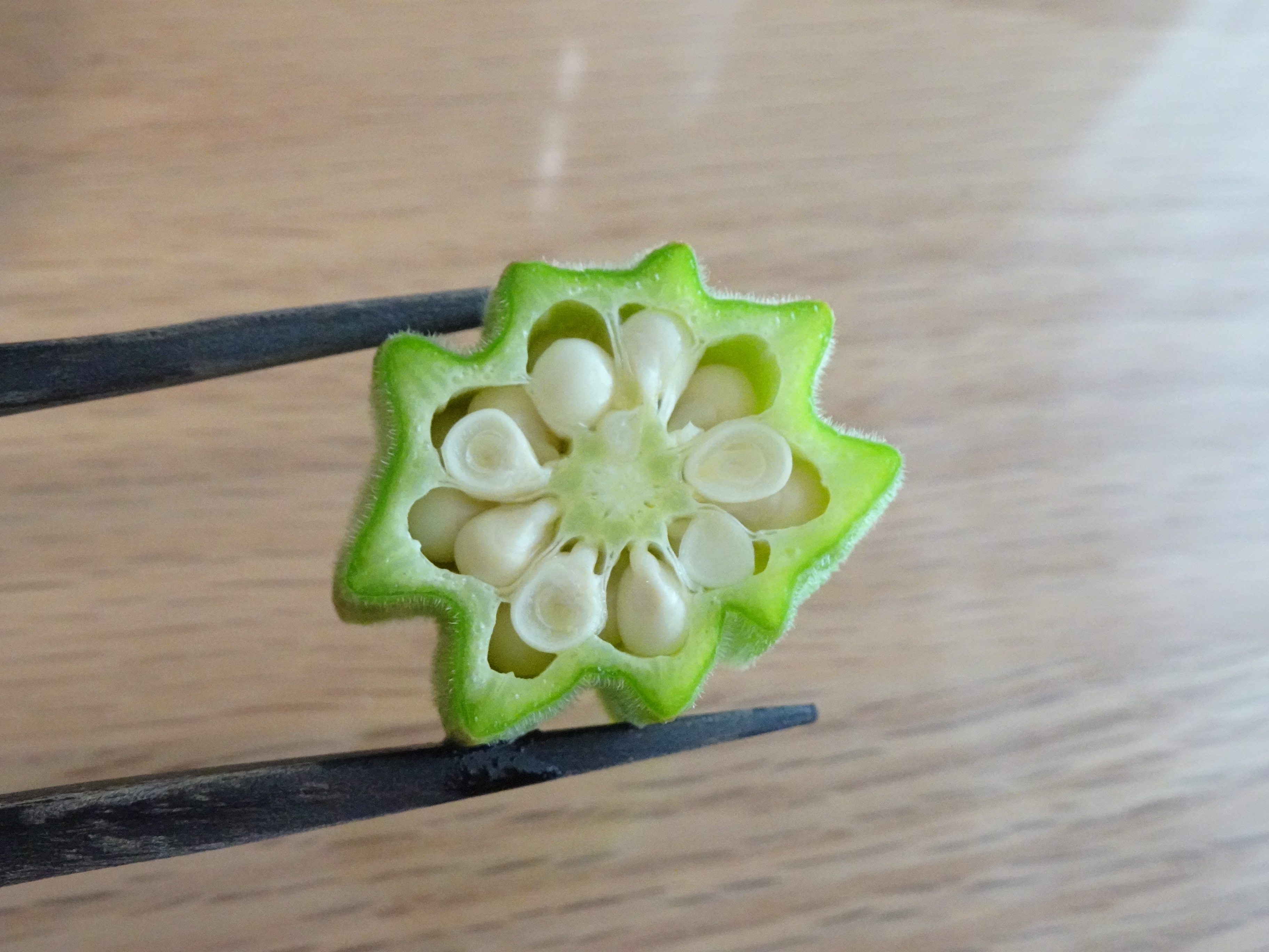 輪切りにしたオクラキングの断面