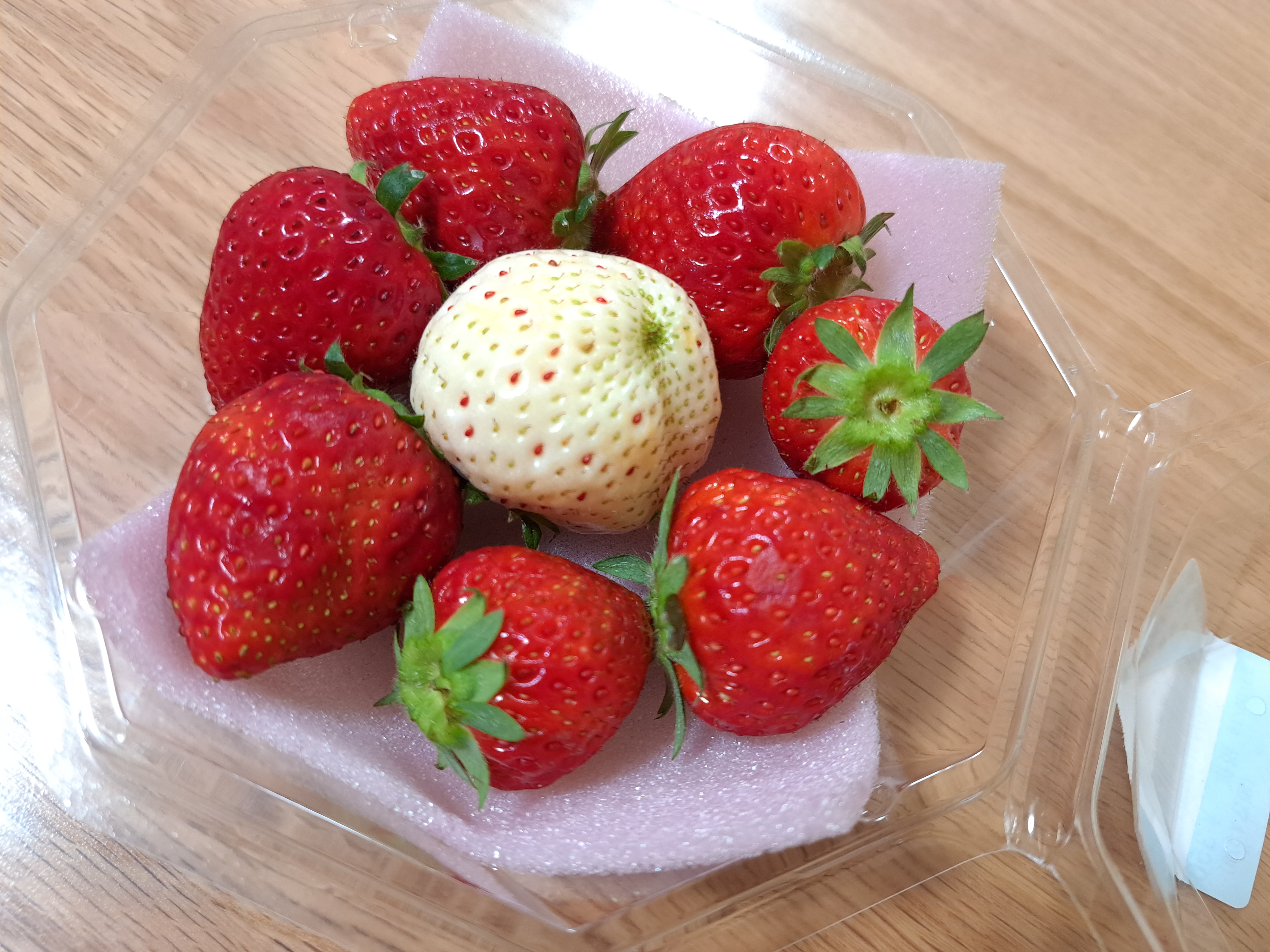 よつぼしのパッケージは白いちごが1個、よつぼしが7個入っていた