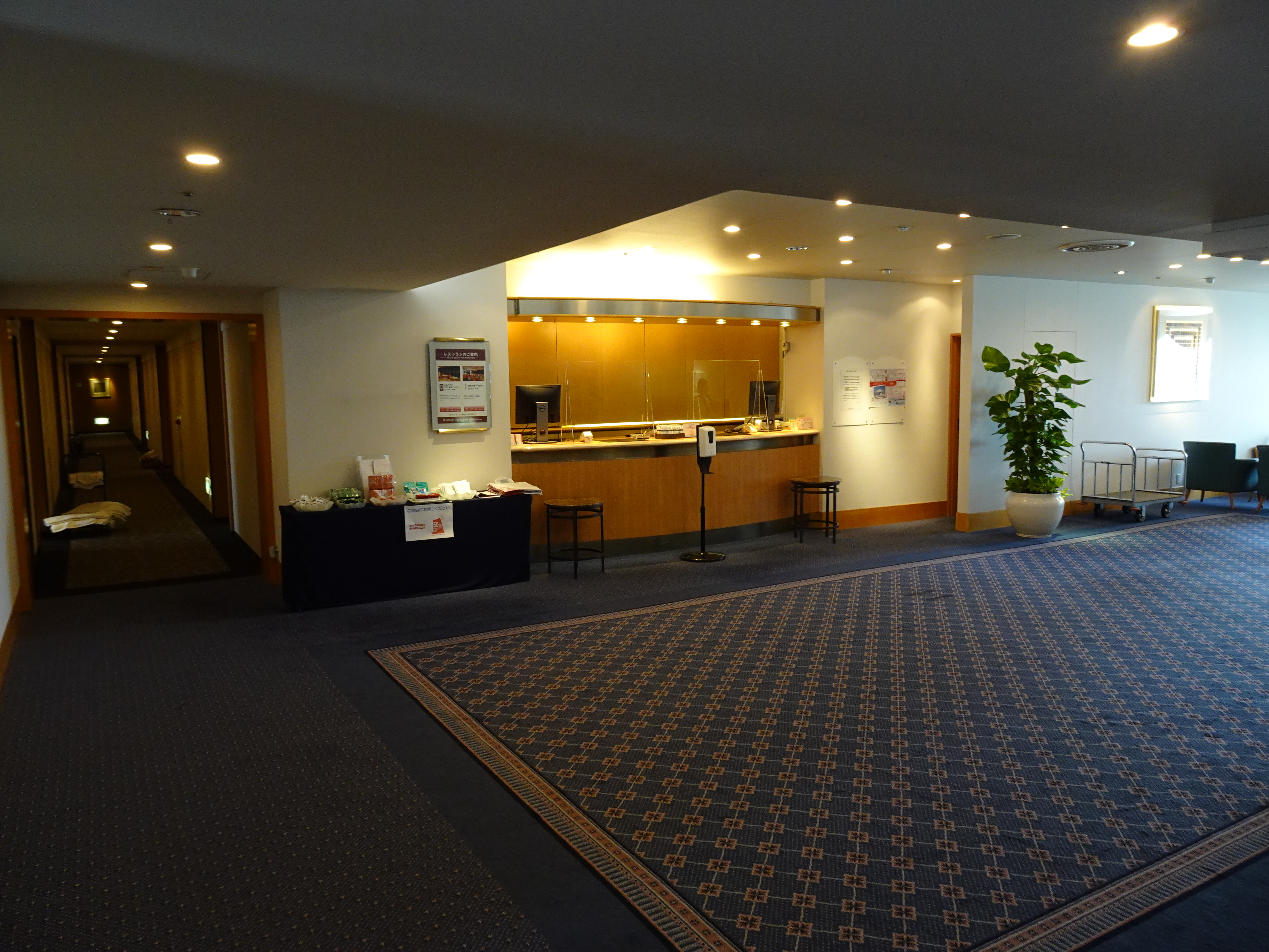 閉館前の中野サンプラザを見てきた - blog-RuinDig