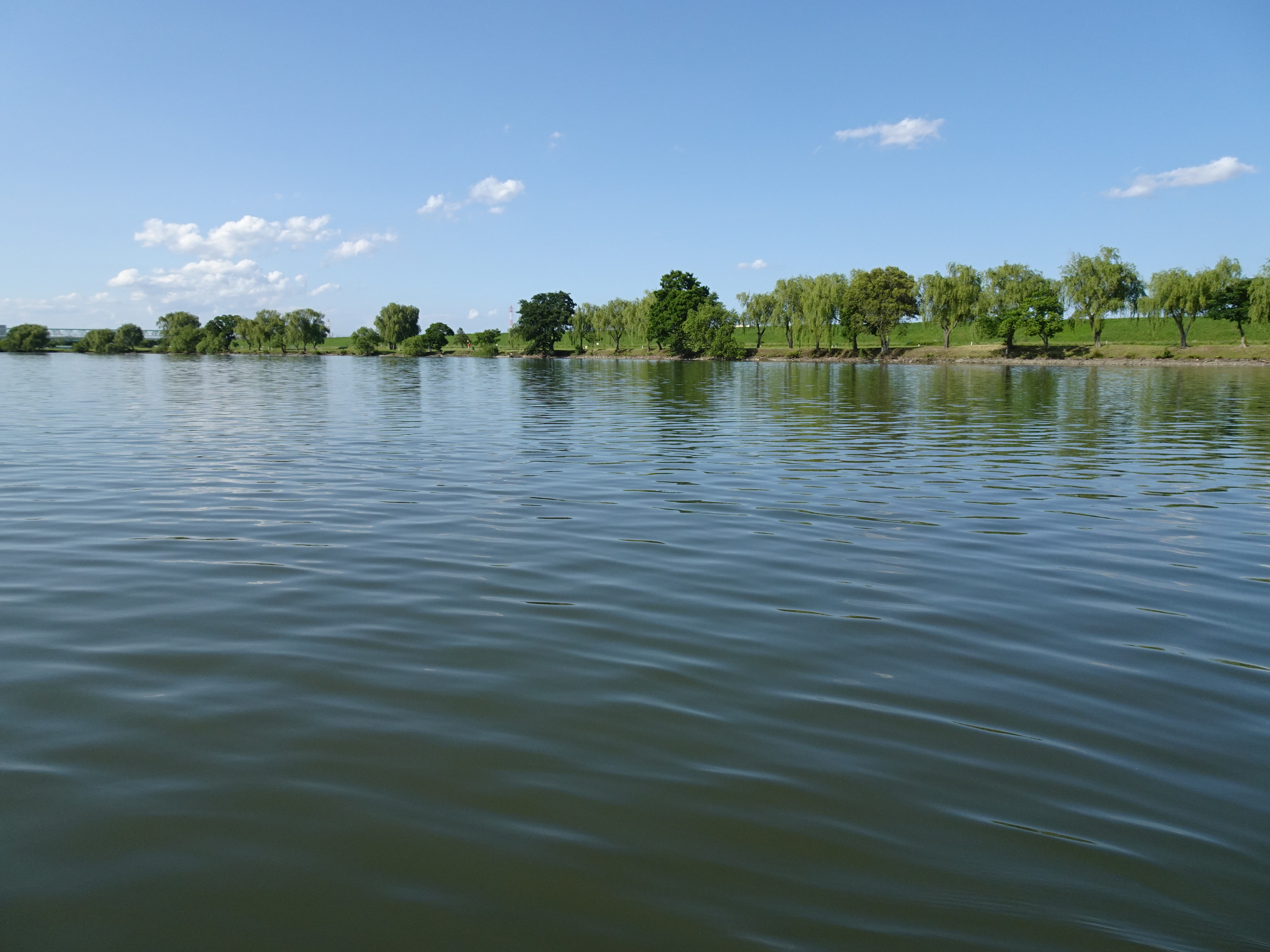 千葉県松戸市側の岸