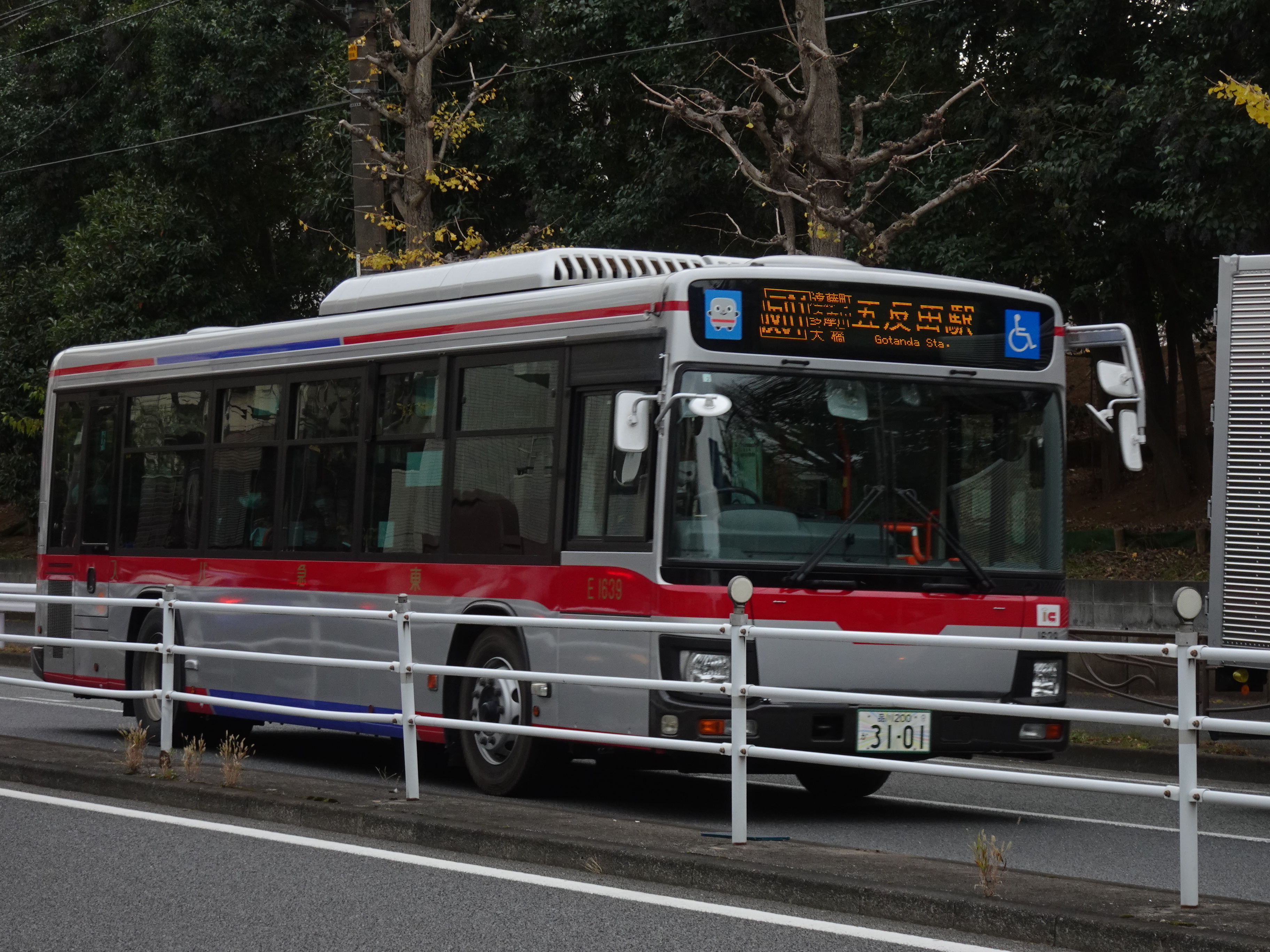 写真