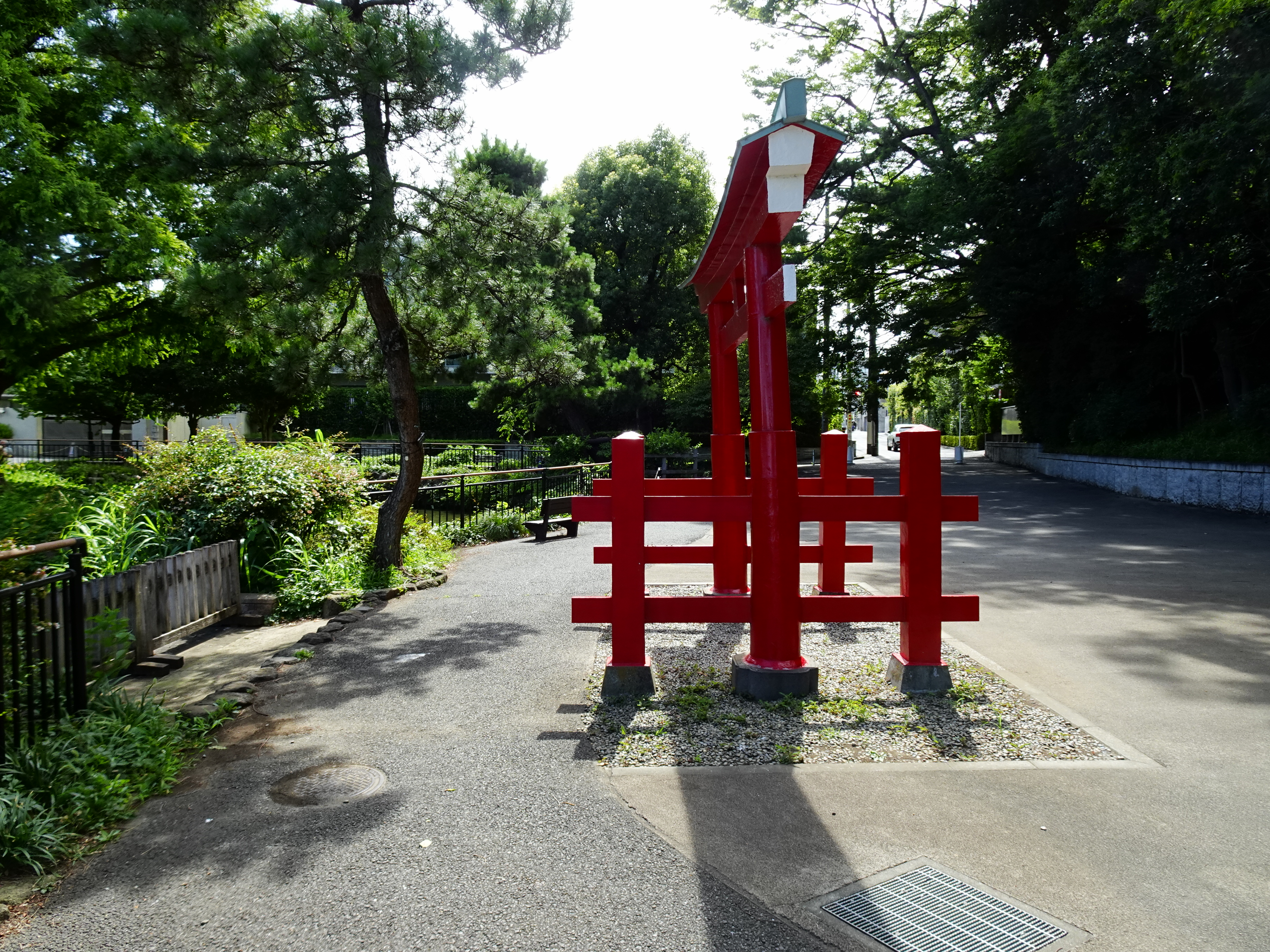 写真