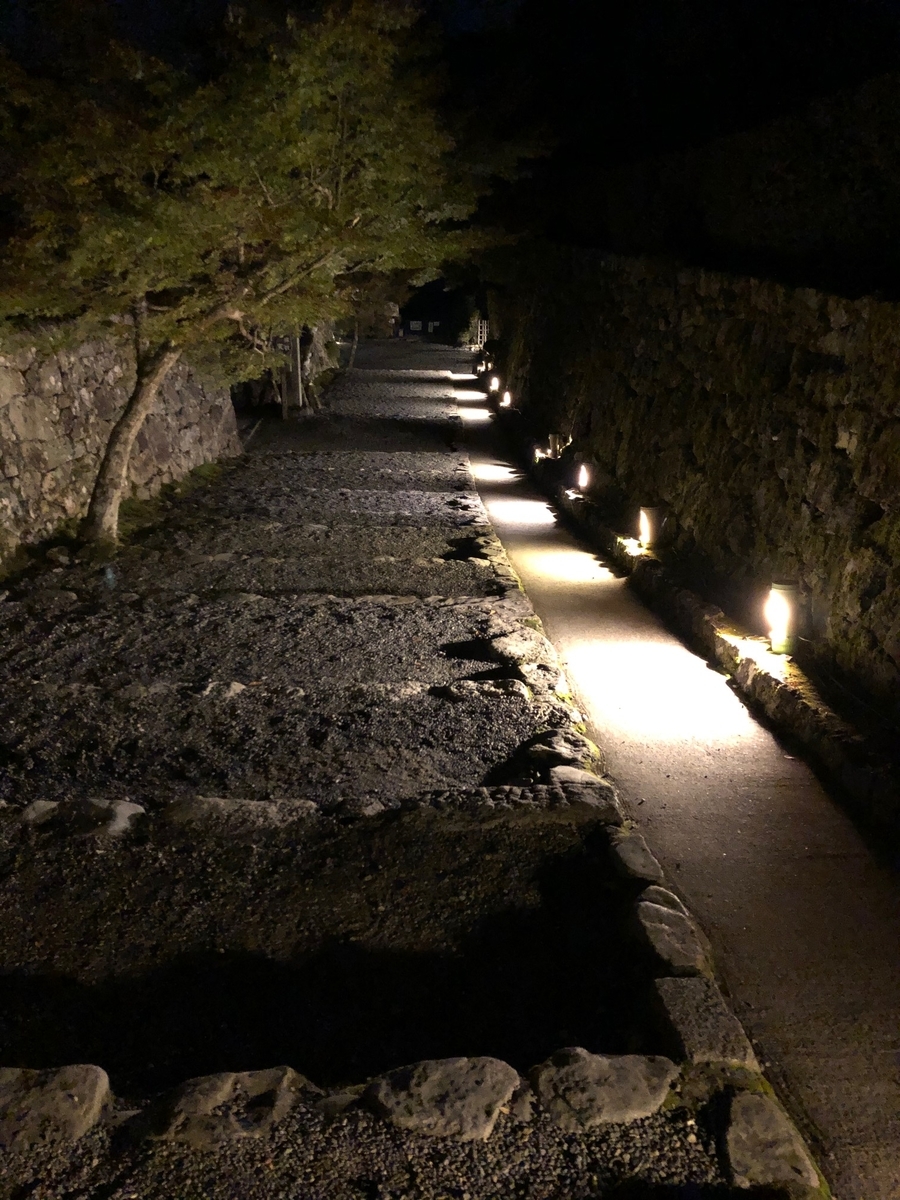 f:id:edinn:20191117003349j:plain f:id:edinn:20191117003349j:plain