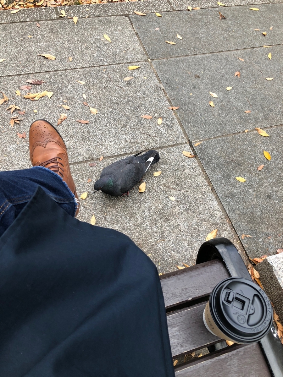 f:id:edinn:20191203222603j:plain f:id:edinn:20191203222603j:plain