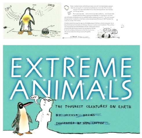 f:id:editech:20070102175806j:image