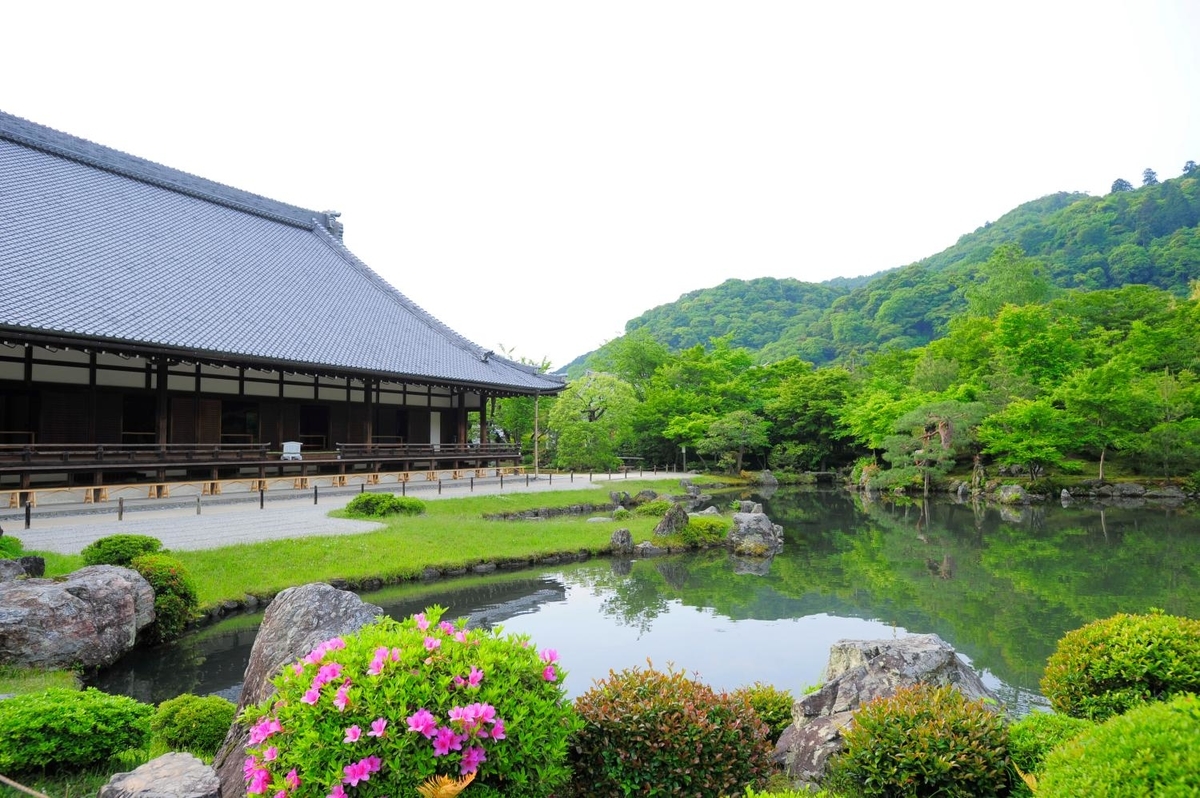 ≪京都の予習≫京都の寺院で出会える雲龍図の秘密に迫ろう