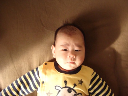 20121202085419