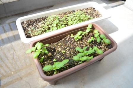 20130522083505