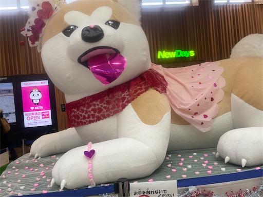 f:id:edofuku2005:20260219203109j:image