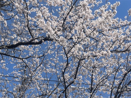 f:id:edofuku2005:20260413194956j:image f:id:edofuku2005:20260413194956j:image