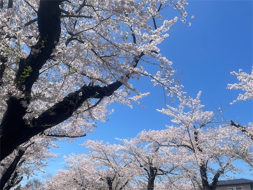 f:id:edofuku2005:20260416162142j:image