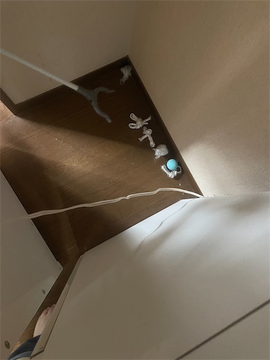 f:id:edofuku2005:20260428194340j:image
