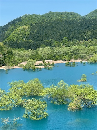 f:id:edofuku2005:20260518163408j:image