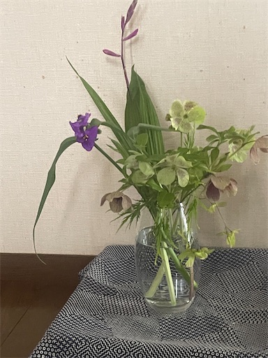 f:id:edofuku2005:20260525194828j:image f:id:edofuku2005:20260525194828j:image