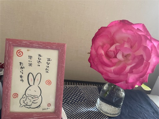 f:id:edofuku2005:20260525194832j:image f:id:edofuku2005:20260525194832j:image