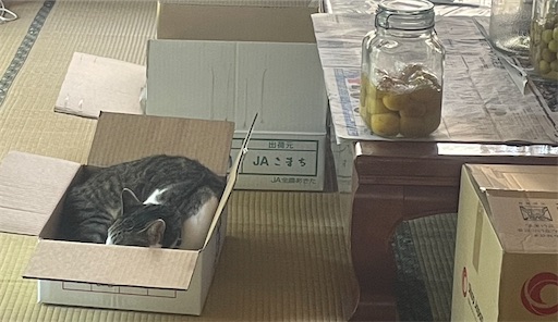 f:id:edofuku2005:20260704201559j:image
