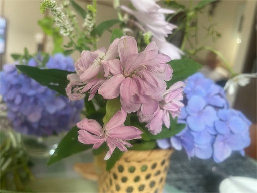f:id:edofuku2005:20260717193926j:image f:id:edofuku2005:20260717193926j:image