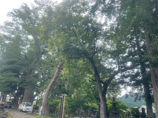 f:id:edofuku2005:20260718195048j:image f:id:edofuku2005:20260718195048j:image