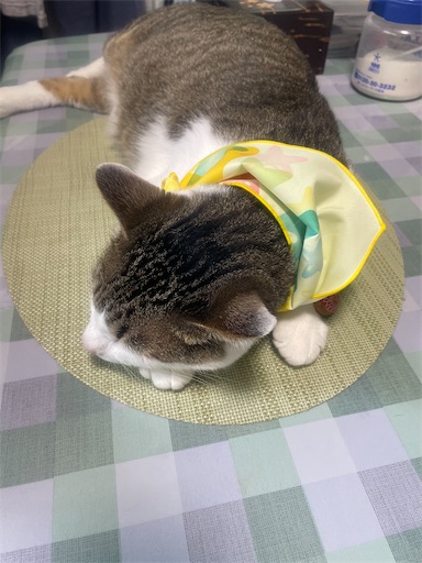f:id:edofuku2005:20260803195404j:image f:id:edofuku2005:20260803195404j:image