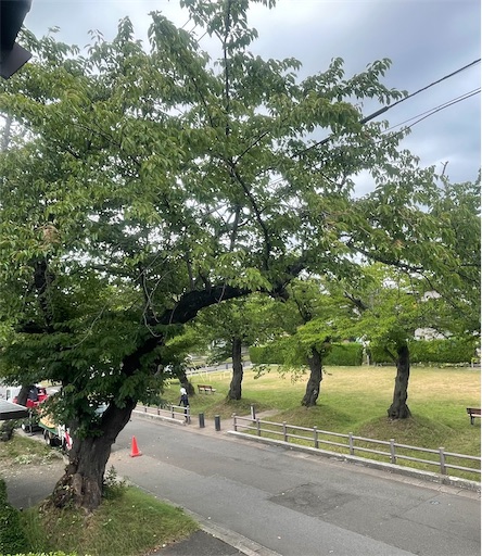f:id:edofuku2005:20260821193654j:image f:id:edofuku2005:20260821193654j:image