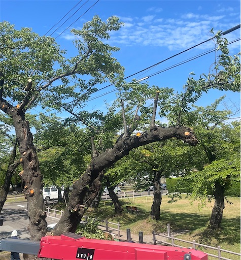 f:id:edofuku2005:20260821194044j:image f:id:edofuku2005:20260821194044j:image