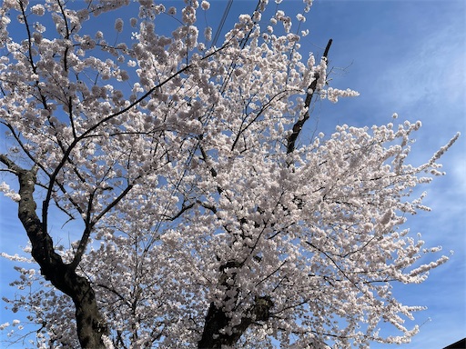 f:id:edofuku2005:20260821194928j:image f:id:edofuku2005:20260821194928j:image