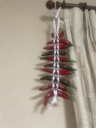 f:id:edofuku2005:20260827190658j:image f:id:edofuku2005:20260827190658j:image