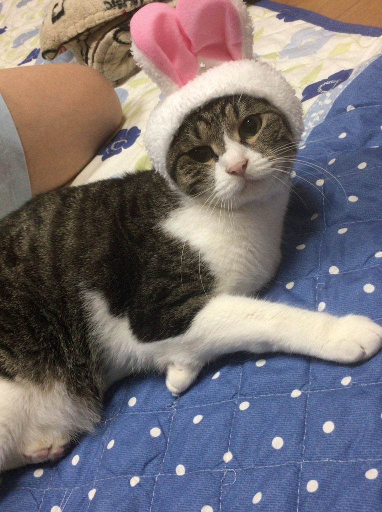 f:id:edogon:20180211190655j:plain