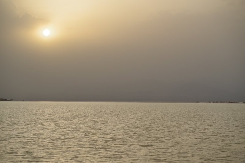 f:id:edomae-sushi:20181015220515j:plain f:id:edomae-sushi:20181015220515j:plain