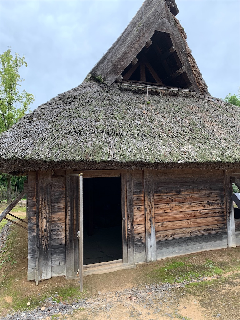 f:id:edu-kachan:20191104152817j:image f:id:edu-kachan:20191104152817j:image