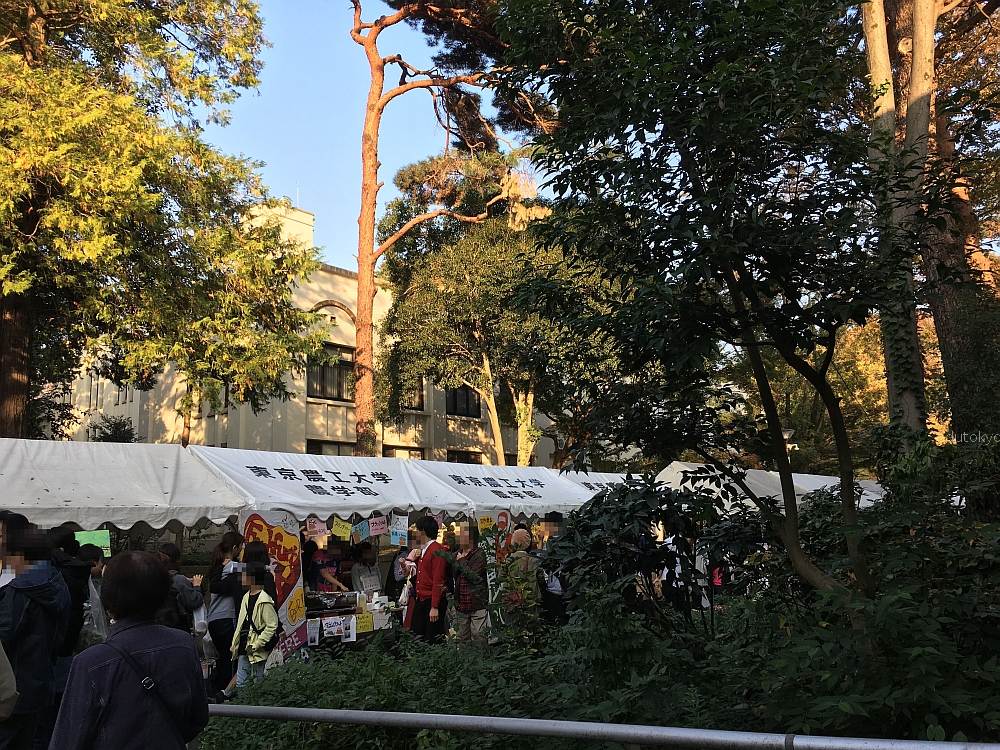 201811 東京農工大学 府中キャンパス 農工祭 馬場がある大学の学園祭に行ってみた 学校訪問の記録 201811 東京農工大学 府中キャンパス 農工祭 馬場がある大学の学園祭に行ってみた 学校訪問の記録