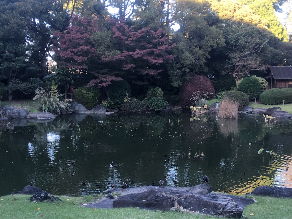 f:id:edutravel:20191117214724j:image