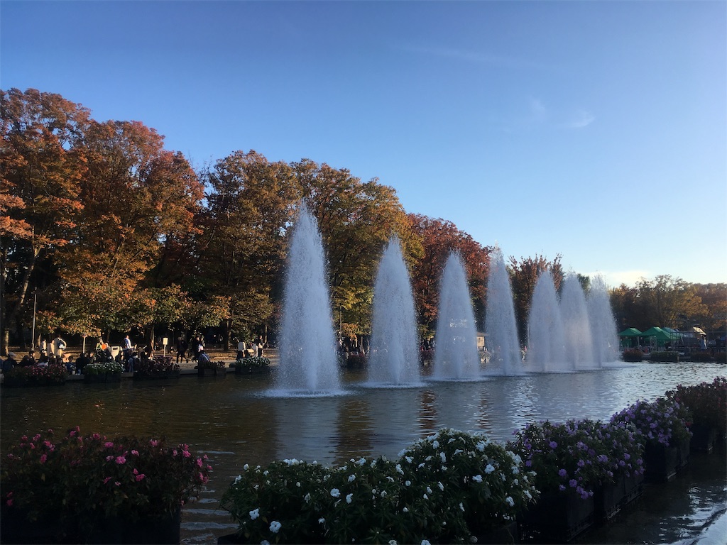 f:id:edutravel:20191117215217j:image