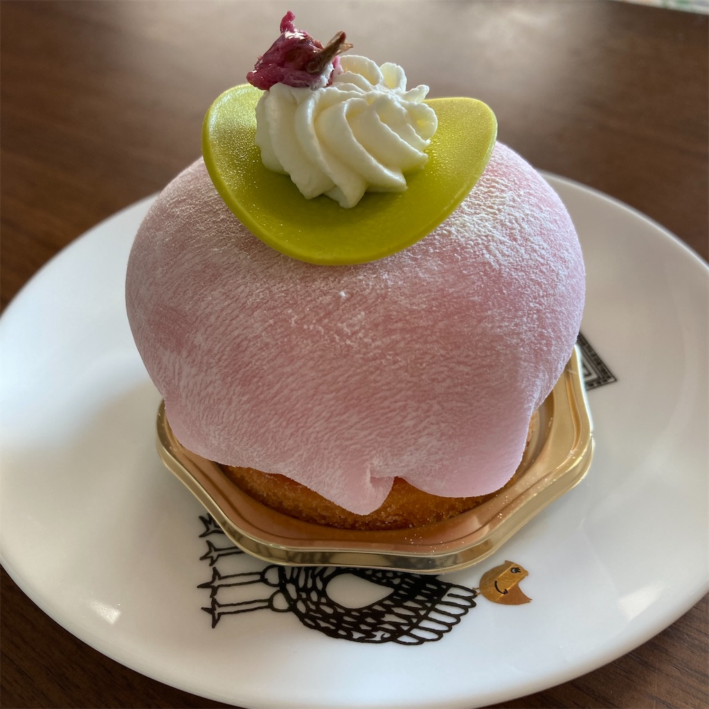 f:id:edvis1017:20210314182553j:image
