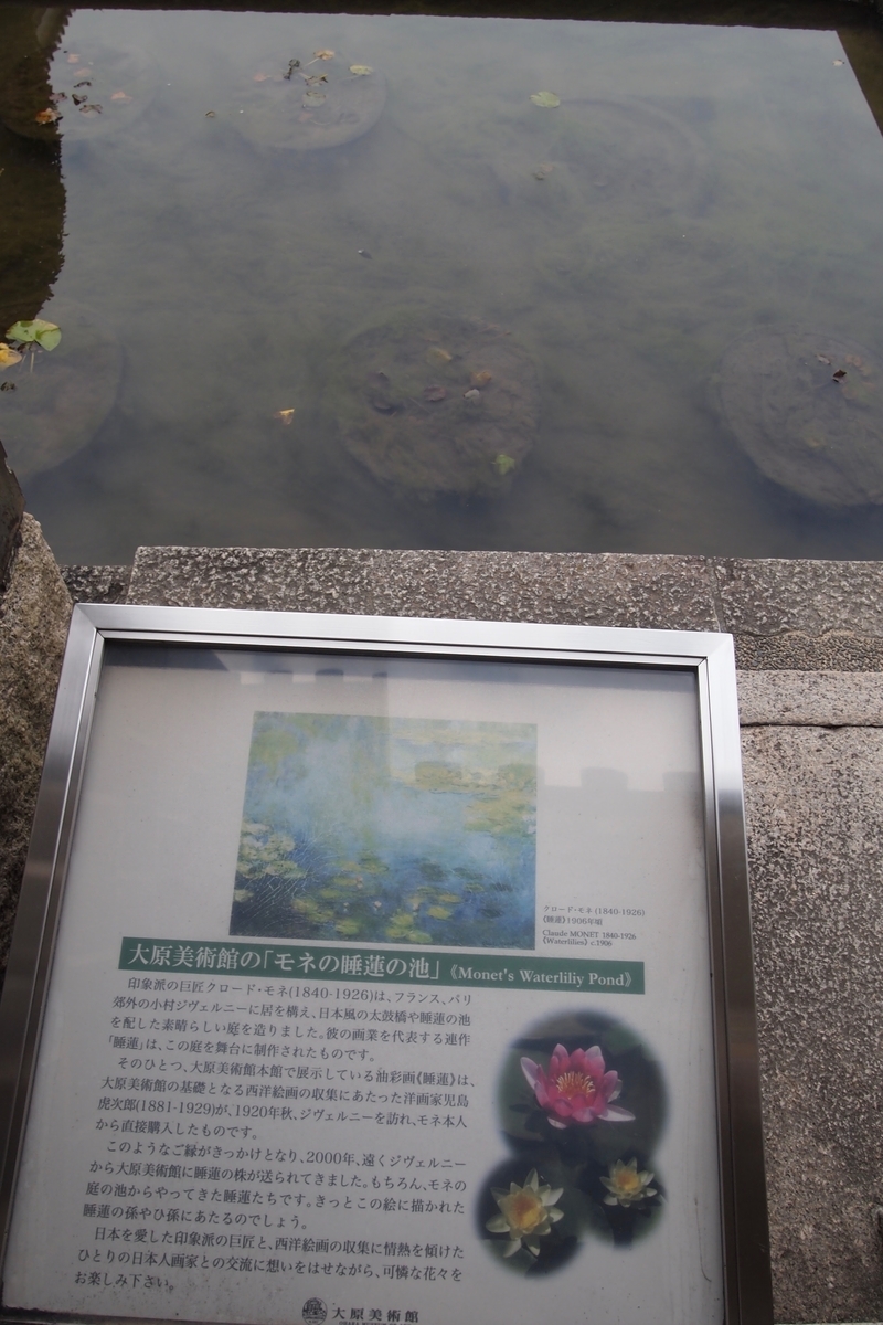 f:id:edvis1017:20210319002116j:plain