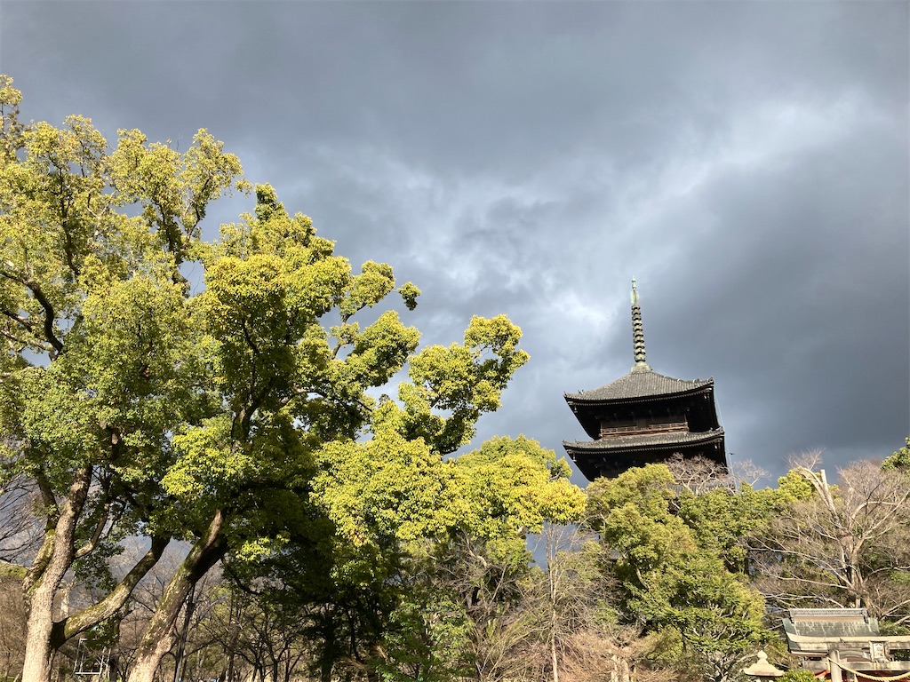 f:id:edvis1017:20210417211435j:image f:id:edvis1017:20210417211435j:image