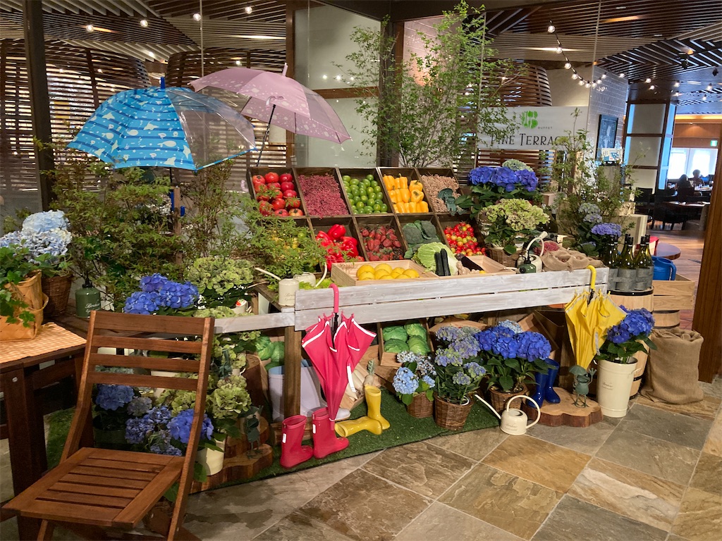 f:id:edvis1017:20210702193535j:image