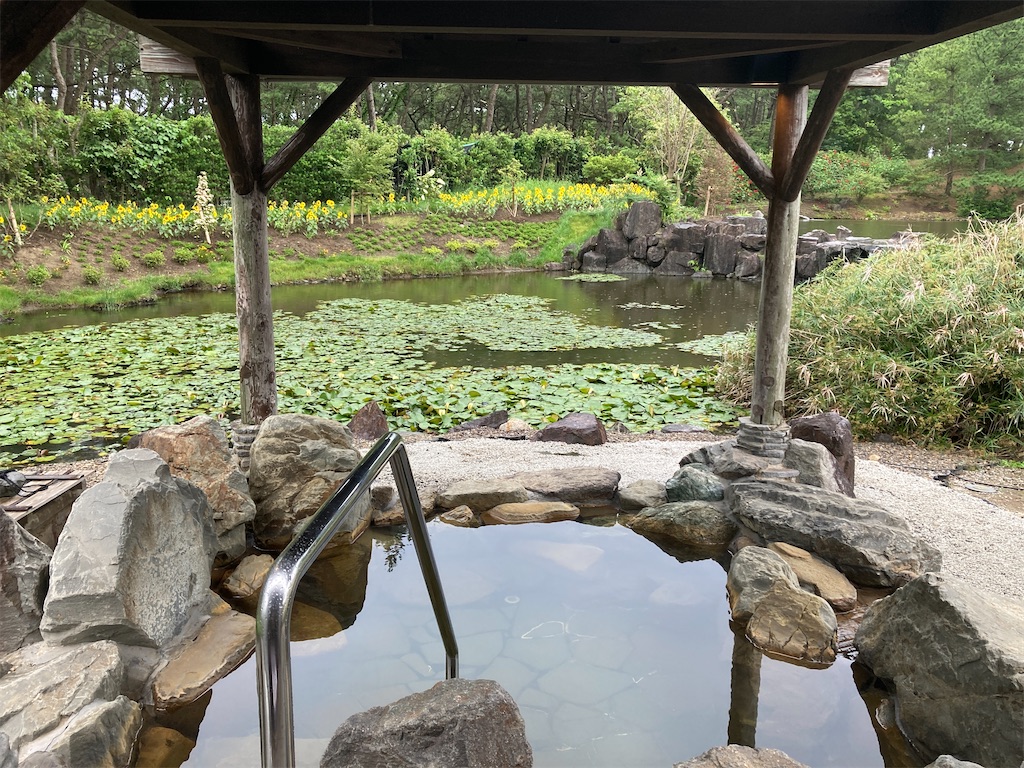 f:id:edvis1017:20210712210539j:image