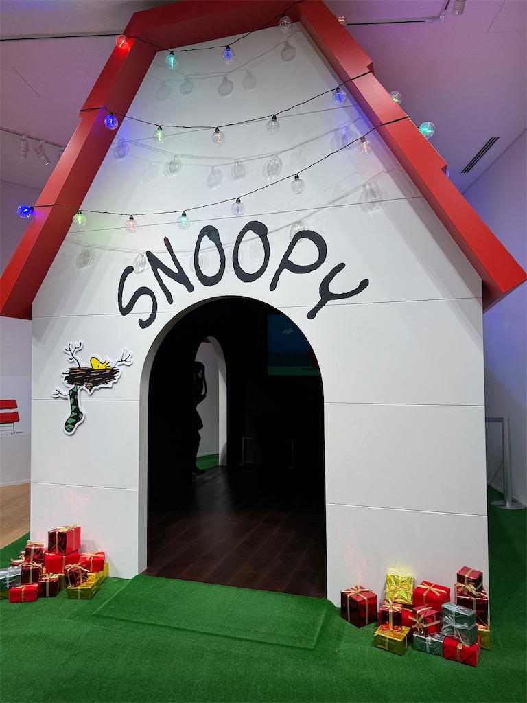 f:id:edvis1017:20250116082253j:image