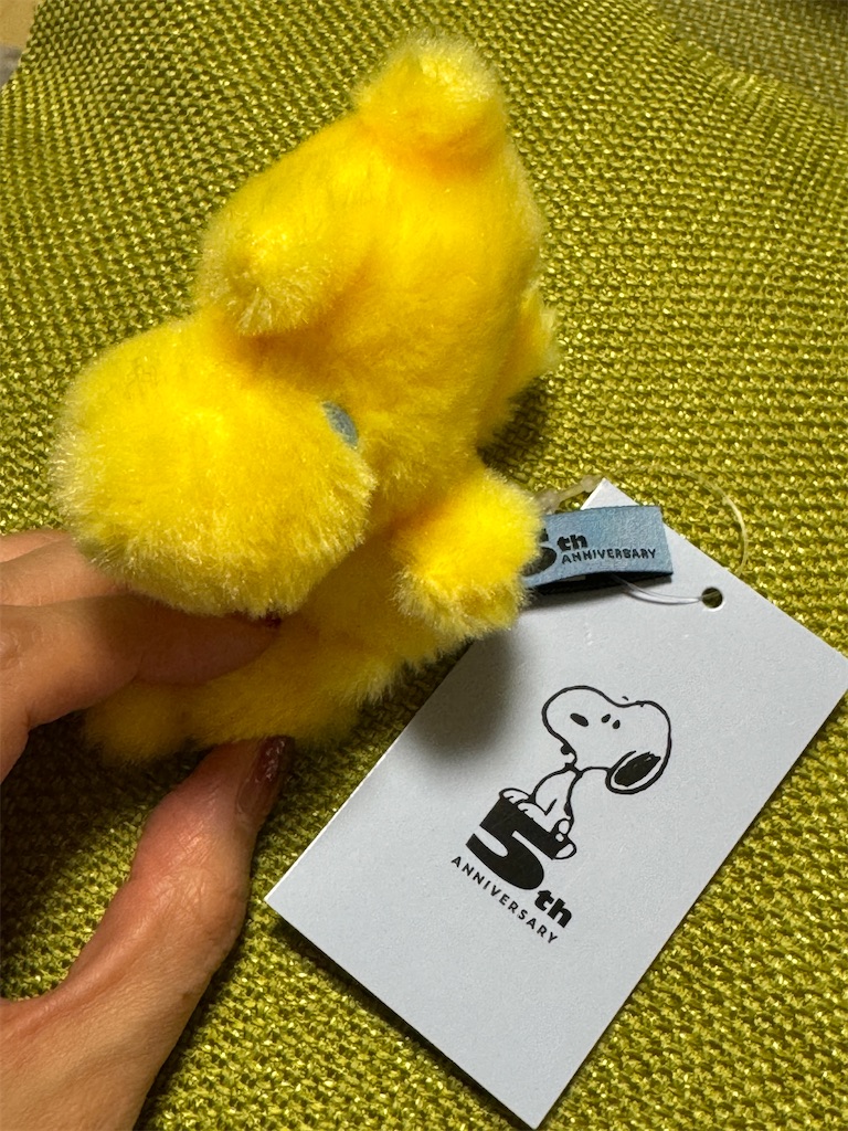 f:id:edvis1017:20250116082330j:image