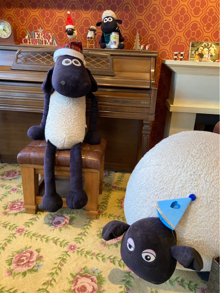 f:id:edvis1017:20250124075239j:image
