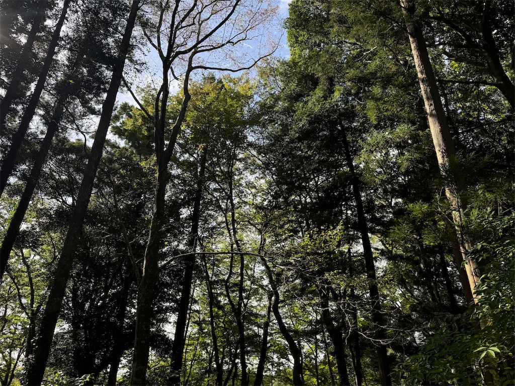 f:id:edvis1017:20250209115003j:image