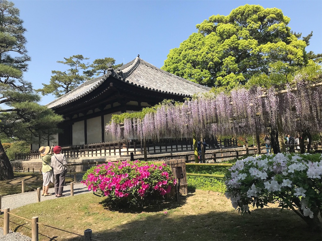 f:id:edwalk:20180422210513j:image f:id:edwalk:20180422210513j:image