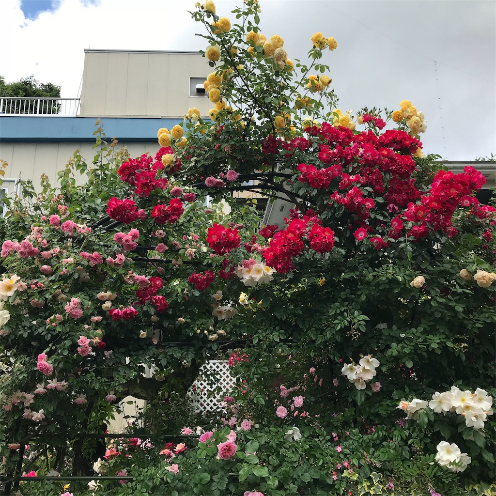 f:id:edwalk:20180524142303j:image