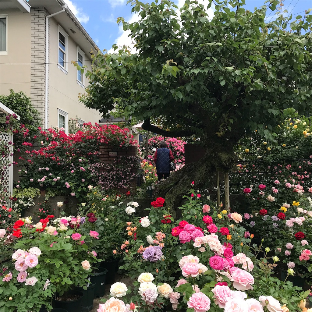 f:id:edwalk:20180524143255j:image