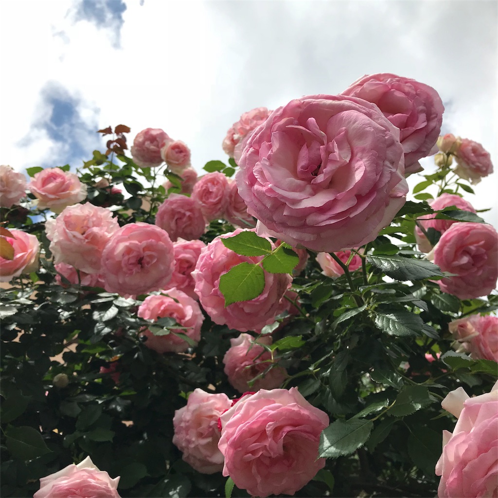 f:id:edwalk:20180524143259j:image