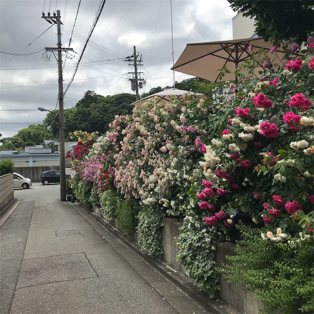 f:id:edwalk:20180524143304j:image