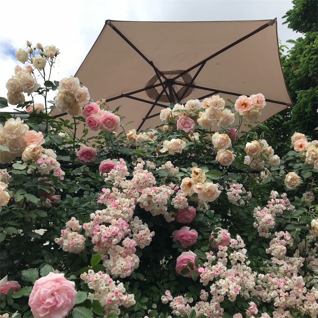 f:id:edwalk:20180524143316j:image